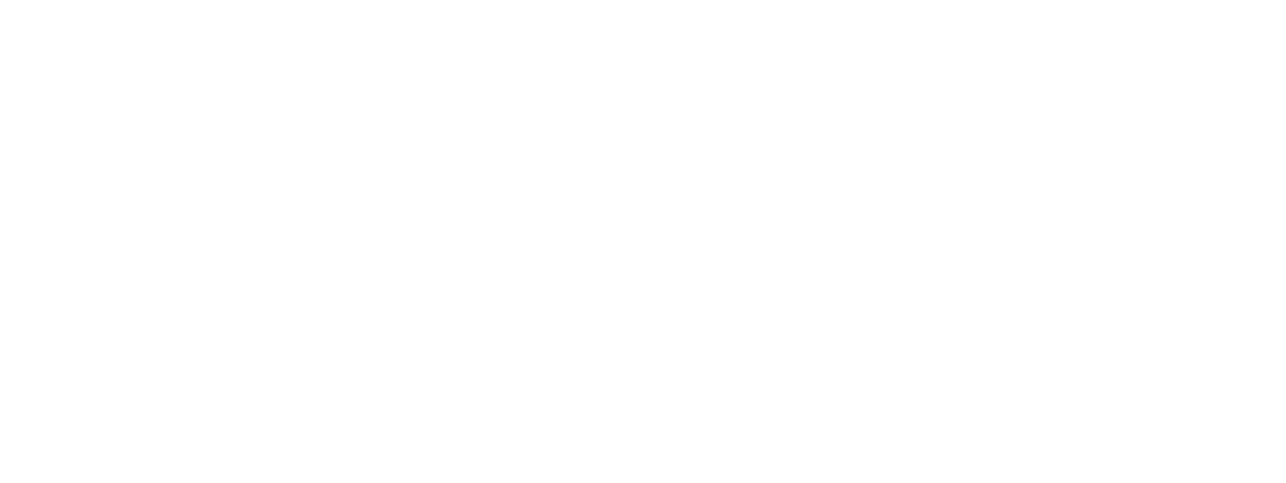 Boston Turner Group